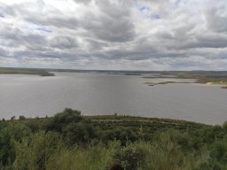 Flora del Cerro Masatrigo